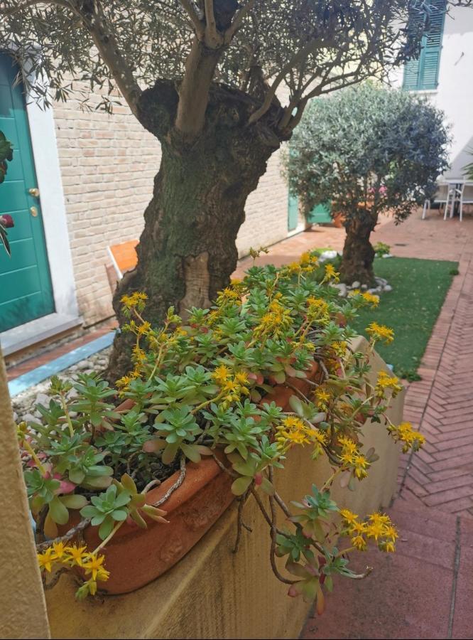 B&B La Chicca Ravenna Exteriér fotografie