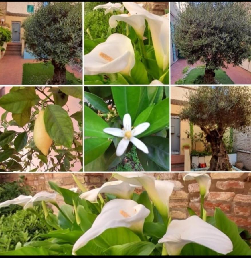 B&B La Chicca Ravenna Exteriér fotografie
